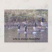 Liefde van Natuur Briefkaart (Voorkant)