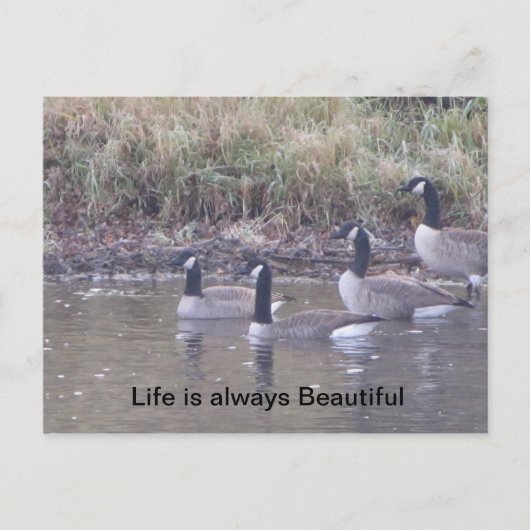 Liefde van Natuur Briefkaart (Voorkant)