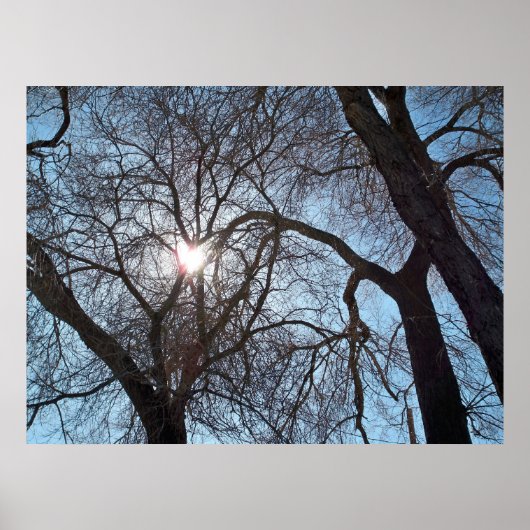 Liefde van Natuur Poster (Voorkant)