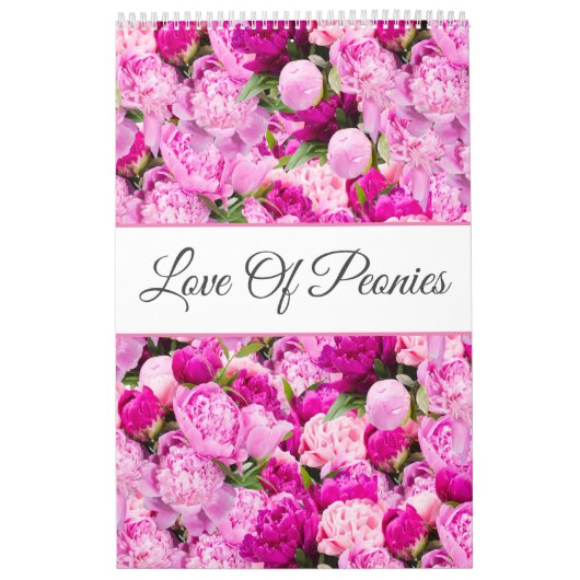 Liefde van pony's Wall Calendar Kalender (Hoes)