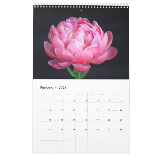 Liefde van pony's Wall Calendar Kalender (Feb 2026)