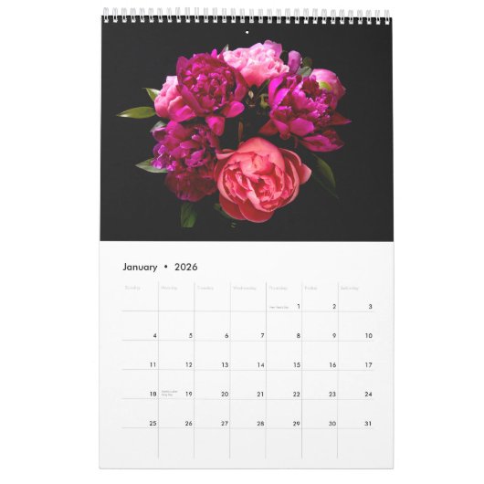 Liefde van pony's Wall Calendar Kalender (Jan 2026)