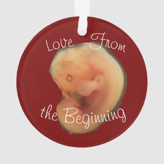 Liefde vanaf het begin ornament (achterkant)