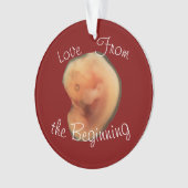 Liefde vanaf het begin ornament (voorkant)