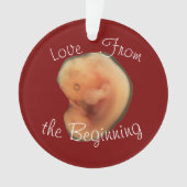 Liefde vanaf het begin ornament (voorkant)