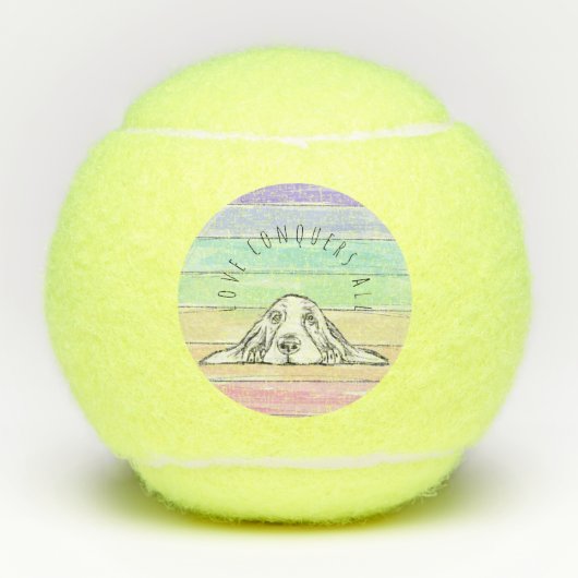 liefde verovert me alle hondenregenboog tennisballen (Voorkant)