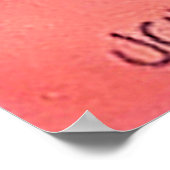 Liefde Veters Waterverf Schoen en Schoenveter Schi Poster (Hoek)