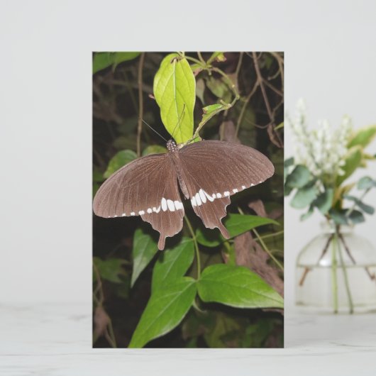 LIEFDE VLINDER CADEAU VOOR IEDEREEN BRIEFPAPIER (Staand voorkant)