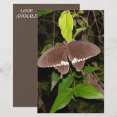 LIEFDE VLINDER CADEAU VOOR IEDEREEN BRIEFPAPIER (Voorkant / Achterkant)