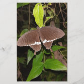 LIEFDE VLINDER CADEAU VOOR IEDEREEN BRIEFPAPIER (Voorkant)