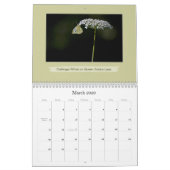 Liefde Vlinders Vlinder en Bloem Fotografie Kalender (Mar 2026)