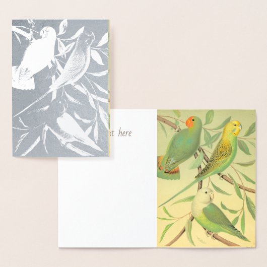 Liefde vogels en parkieten - Zilver Folie Kaarten (Display)