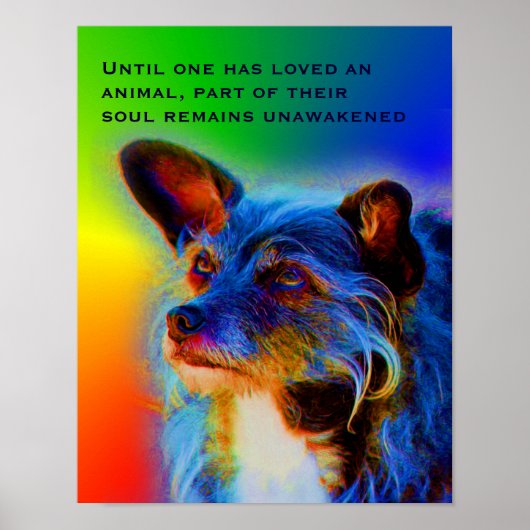 Liefde voor dieren Citaat Inspirerend Poster (Voorkant)
