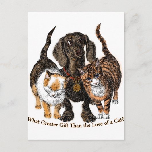 liefde voor een kat briefkaart (Voorkant)