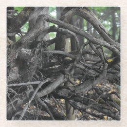 Liefde voor een omgevallen boom glazen onderzetter