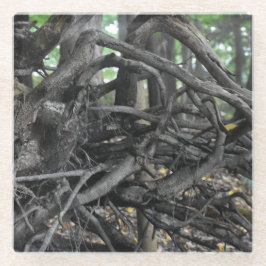 Liefde voor een omgevallen boom glazen onderzetter