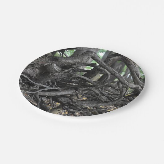 Liefde voor een omgevallen boom papieren bordje (Gekanteld)