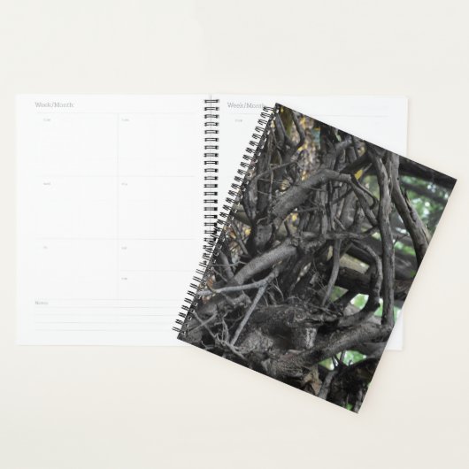 Liefde voor een omgevallen boom planner (Display)