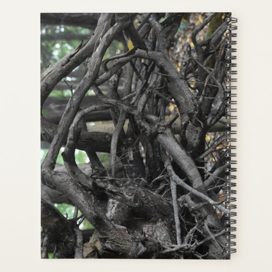 Liefde voor een omgevallen boom planner (Achterkant)