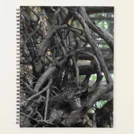 Liefde voor een omgevallen boom planner