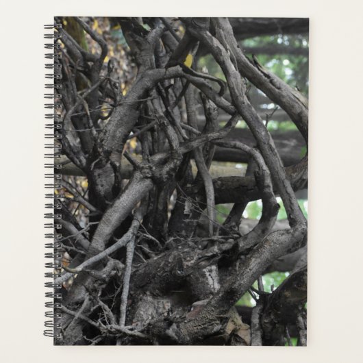 Liefde voor een omgevallen boom planner (Voorkant)