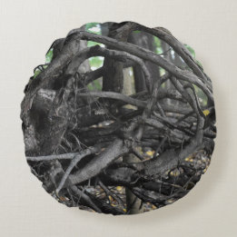 Liefde voor een omgevallen boom rond kussen