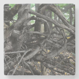 Liefde voor een omgevallen boom stenen onderzetter