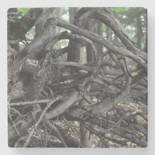 Liefde voor een omgevallen boom stenen onderzetter (Voorkant)