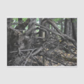 Liefde voor een omgevallen boom tissuepapier (Voorkant)