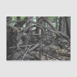 Liefde voor een omgevallen boom tissuepapier