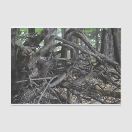 Liefde voor een omgevallen boom tissuepapier (Voorkant)