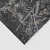 Liefde voor een omgevallen boom tissuepapier (Detail)