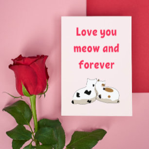 Liefde voor jou miauw en voor altijd   Katten Roze Briefkaart
