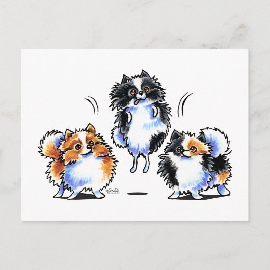 Liefde voor Parti Pomeranians Briefkaart (Voorkant)