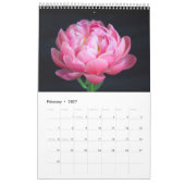 Liefde Voor Pioenrozen Muurkalender Kalender (Feb 2027)