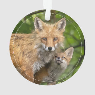 Liefde voor Vader Ornament