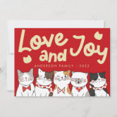 Liefde & Vreugde Mooie Grappige Schattige Katten K Feestdagenkaart (Voorkant)