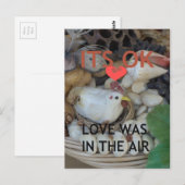 Liefde was in de lucht briefkaart (Voorkant / Achterkant)