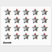 Liefde was in de lucht ster sticker (Vel)