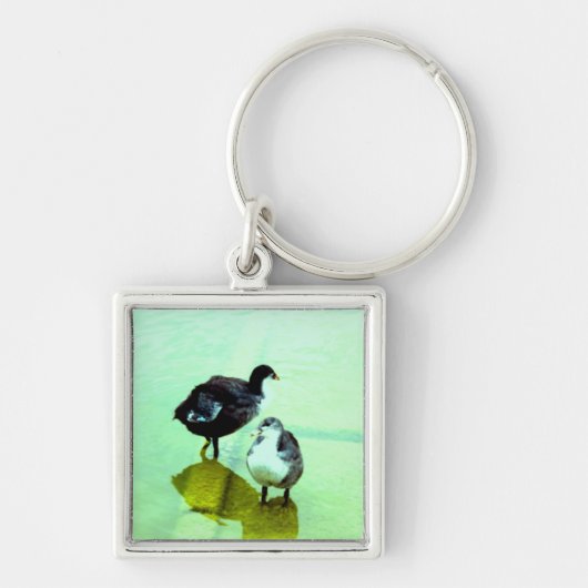 liefde, water en we leven sleutelhanger (Voorkant)