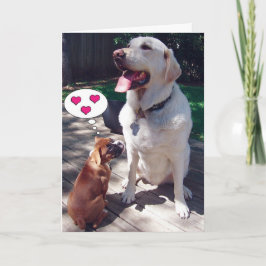 Liefde Wenskaart (met honden) Kaart