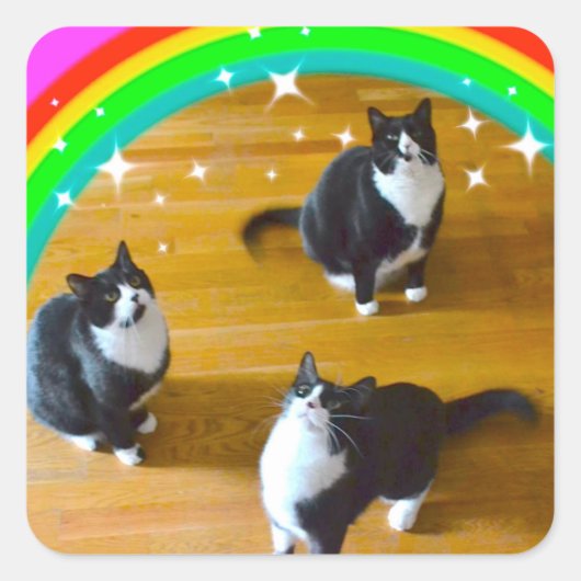 Liefde wint TuxedoTrio Stickers (Voorkant)