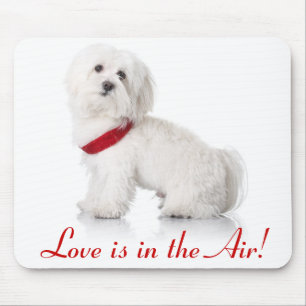 Liefde Witte Bichon Frise Puppy Hond Muismat