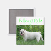 Liefde Witte Engelse Bulldog Puppy Hond Magneet (Voorkant / Achterkant)