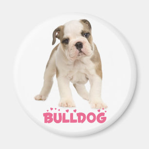 Liefde Witte Engelse Bulldog Puppy Hond Magneet