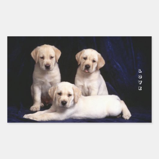 Liefde Witte Labrador Retriever Puppy Dog Stickers (Voorkant)