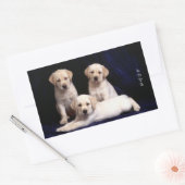 Liefde Witte Labrador Retriever Puppy Dog Stickers (Envelop)