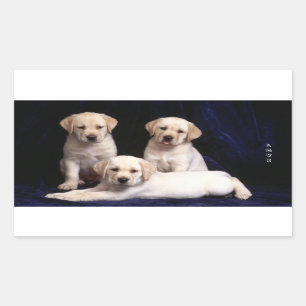 Liefde Witte Labrador Retriever Puppy Dog Stickers