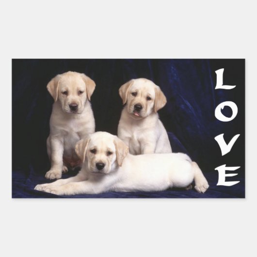 Liefde Witte Labrador Retriever Puppy Dog Stickers (Voorkant)