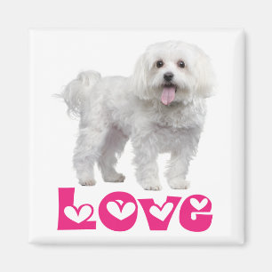 Liefde Witte Maltese Puppy Hond Koelkastmagneet Magneet